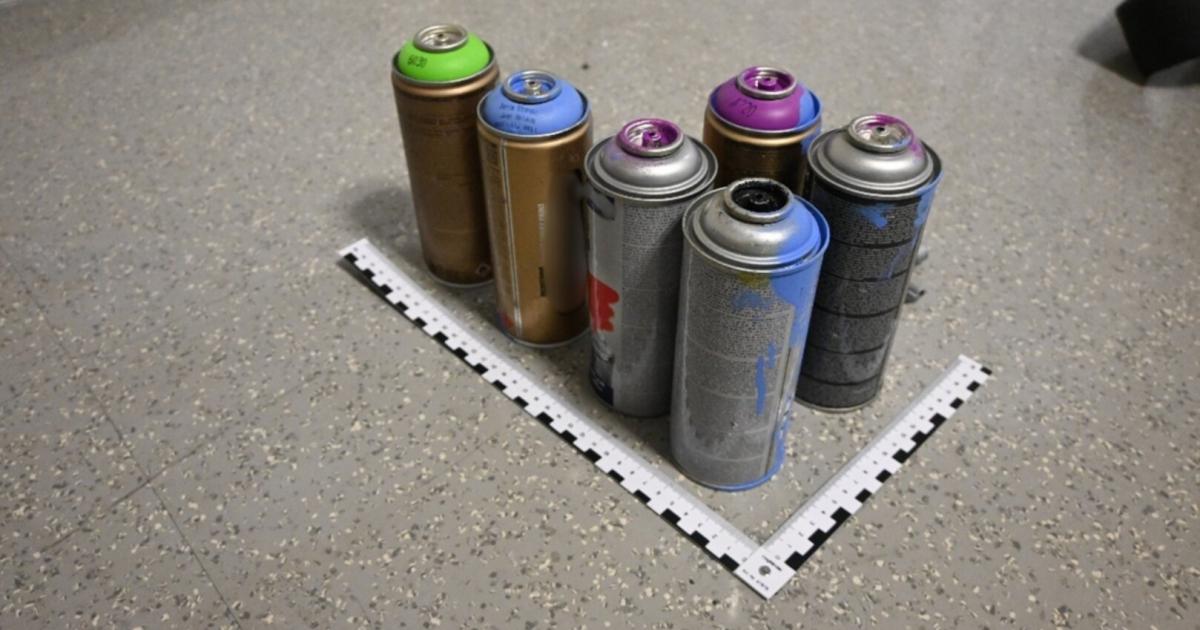 Graffitis-auf-U-Bahnen-verursachen-j-hrlich-Sch-den-in-Millionenh-he