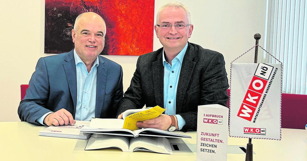 Causa-Google-Fonts-Massenabmahnungen-f-r-Gericht-rechtswidrig