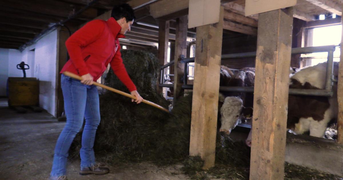 Frauen-in-der-Landwirtschaft-Warum-B-uerinnen-2026-im-Mittelpunkt-stehen