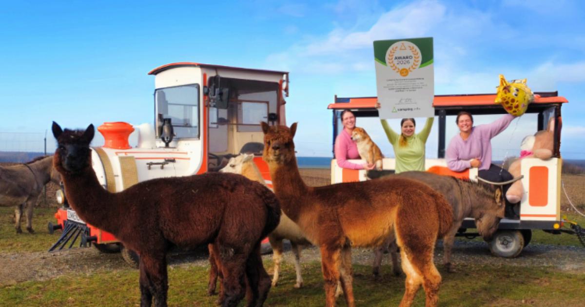 Ganz-oben-in-Europa-Burgenl-ndischer-Campingplatz-auf-Platz-eins