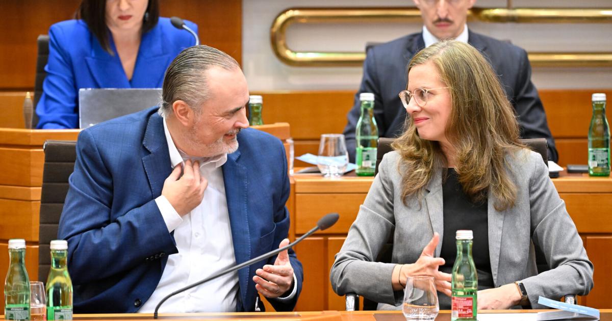 Koalition-im-Burgenland-Rote-Alleinregierung-mit-gr-nem-Saum