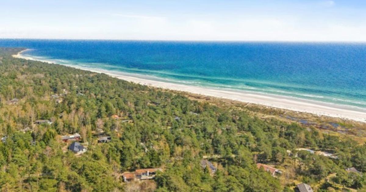 Bornholm-erleben-Entdecken-Sie-5-Orte-an-denen-die-Natur-den-Takt-vorgibt