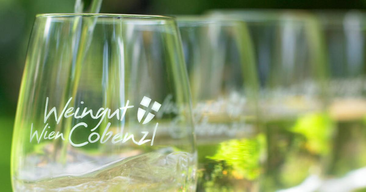 Bio-Weinskandal-in-Wien-Chemie-Einsatz-am-st-dtischen-Weingut-Cobenzl