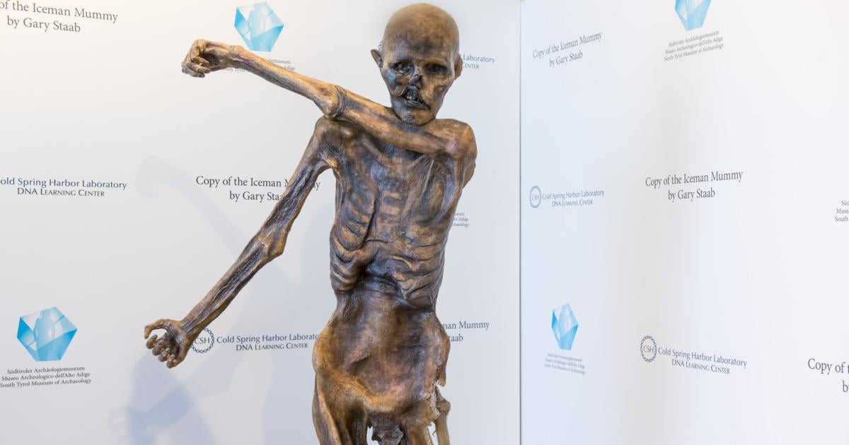 -tzi-Forscher-Horst-Seidler-gestorben