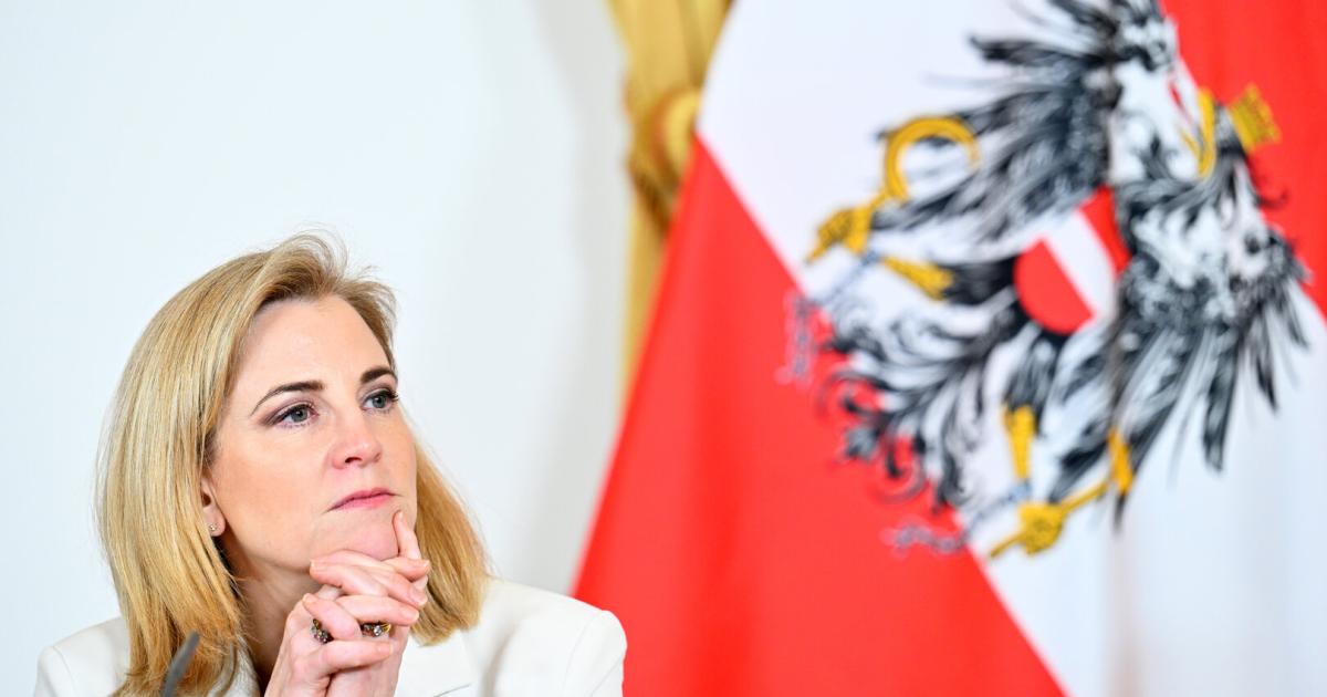 Regierung-will-Abschiebungen-nach-Syrien-ausweiten