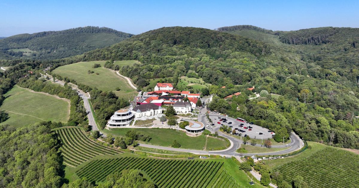 Blendende-Aussicht-Die-Negativschlagzeilen-am-Cobenzl