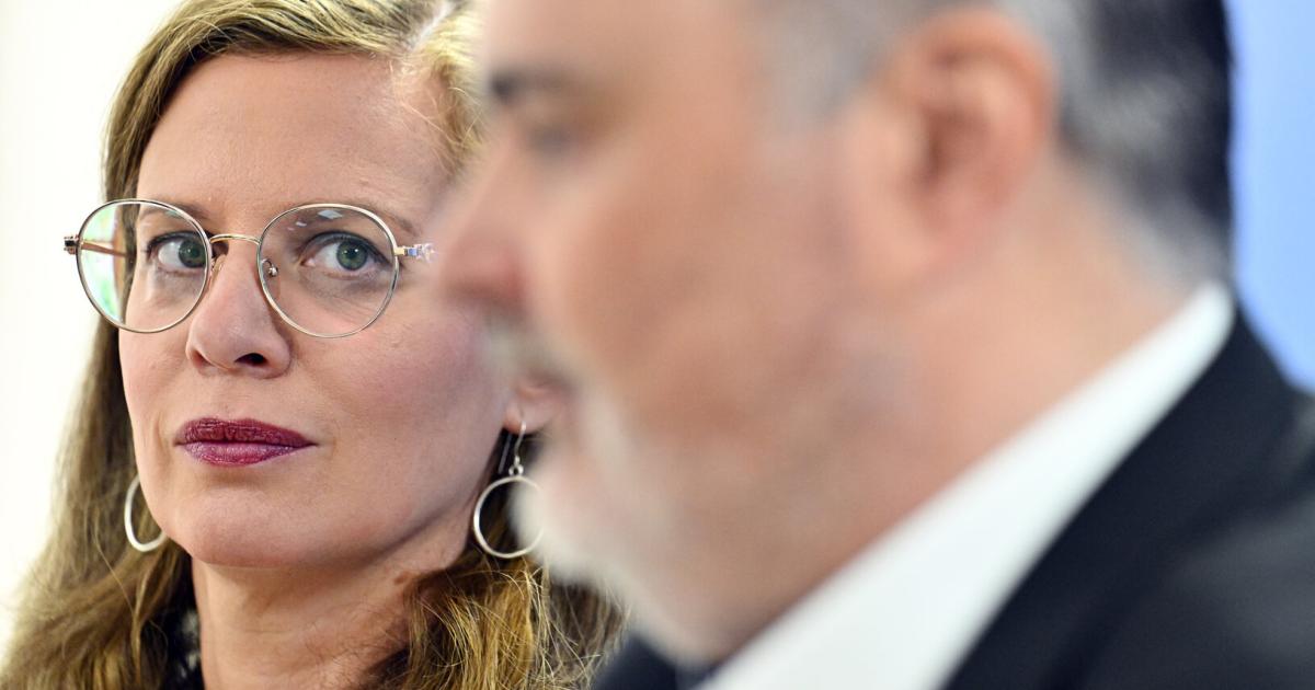 Was-k-mmert-die-Gr-nen-ihr-Geschw-tz-von-gestern-