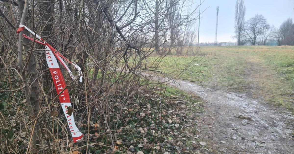 skelettierte-leiche-in-wien-identit-t-der-frau-nun-gekl-rt