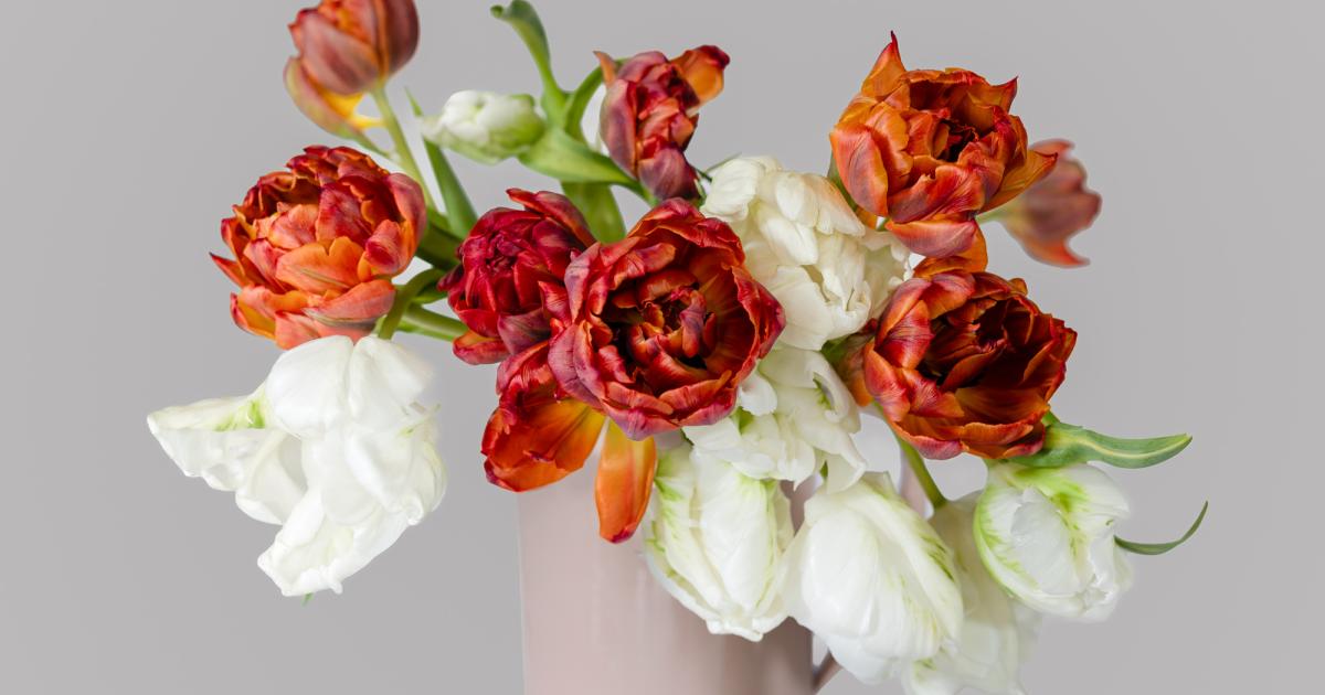 Fotoausstellung-Wo-das-Fl-stern-der-Blumen-zu-sehen-ist