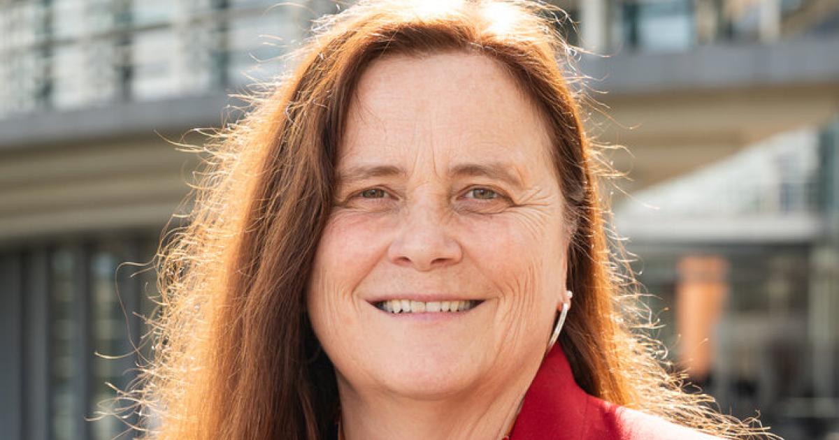 Gr-ne-haben-viele-Fragen-zu-chaotischen-Sekund-rtransporten