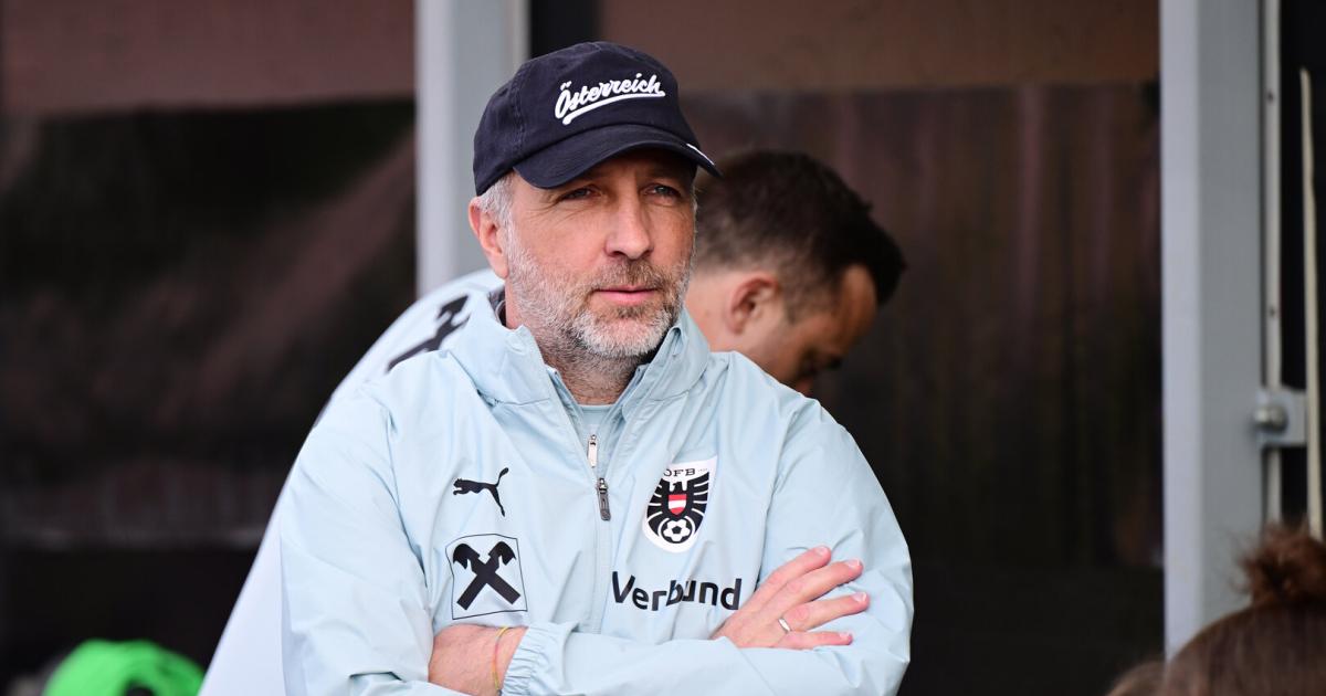 ÖFB women: Team boss Schriebl has to leave, an acquaintance takes over
