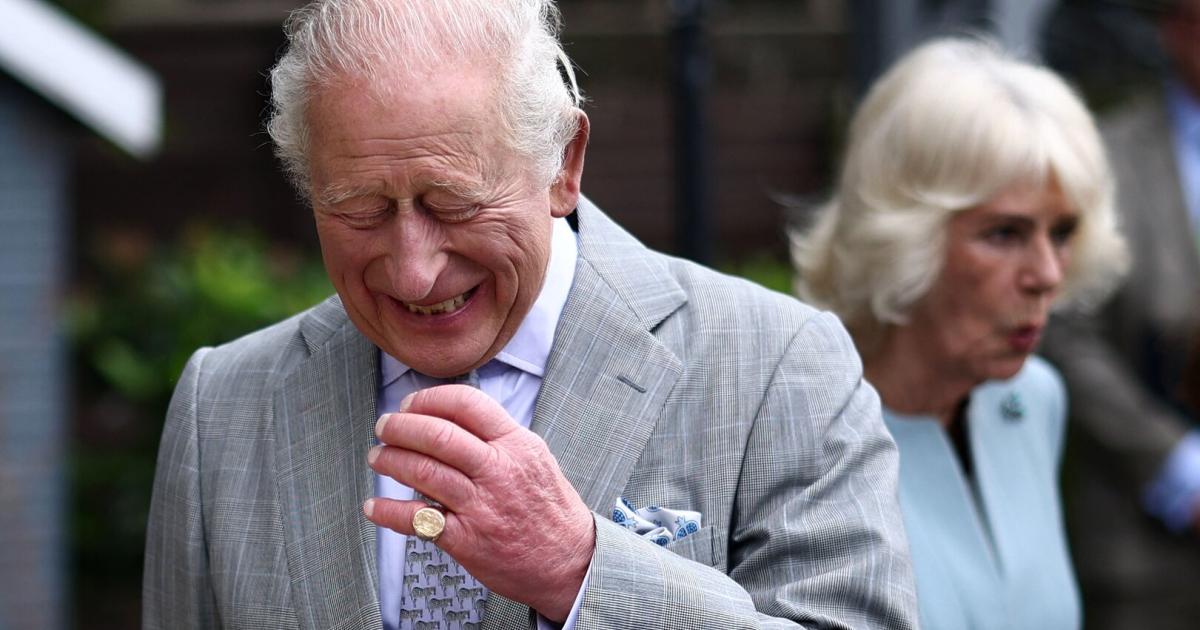 Charles-Faszination-f-r-Nager-die-er-in-seinem-Privathaus-frei-herumlaufen-l-sst