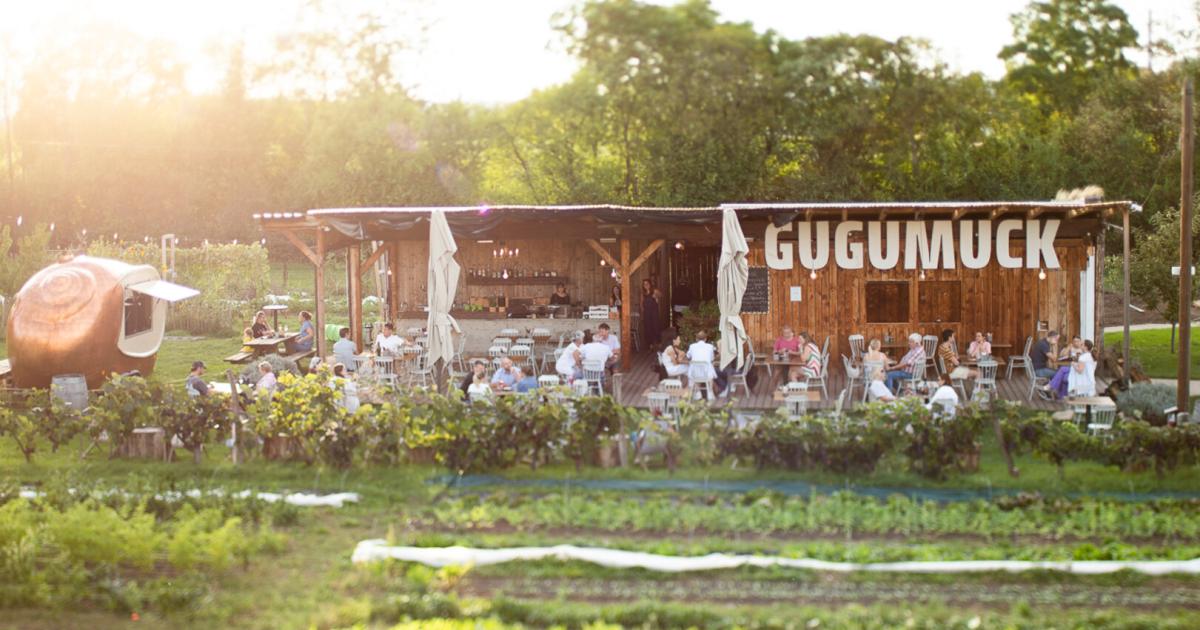 Direkt-vom-Beet-serviert-Die-Gartenbar-von-Andreas-Gugumuck