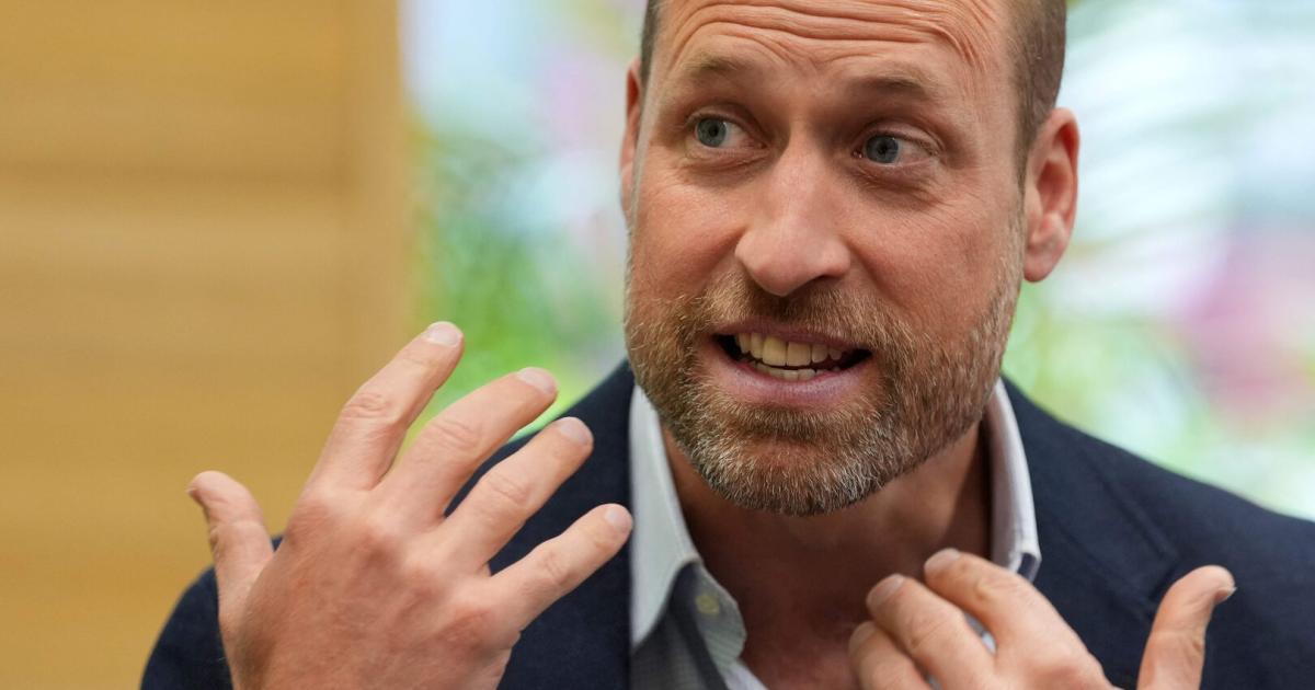 -Ich-liebe-dich-Bro-Prinz-William-antwortete-Fan-humorvoll-mit-3-Worten