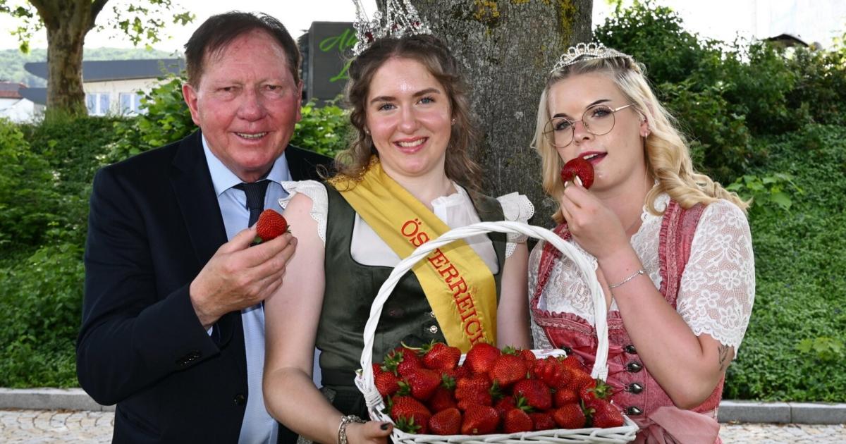 Wo-es-in-sterreich-noch-K-niginnen-gibt