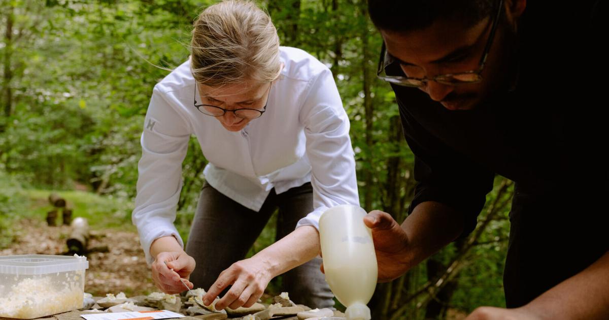 Mostviertler-Ayran-beim-T-rkenbrunnen-am-Sonntagberg
