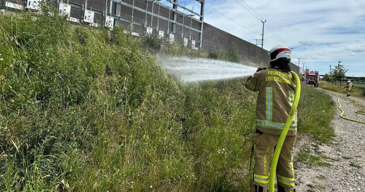 Vogel-l-ste-Brand-bei-Bahnhof-Ebreichsdorf-aus
