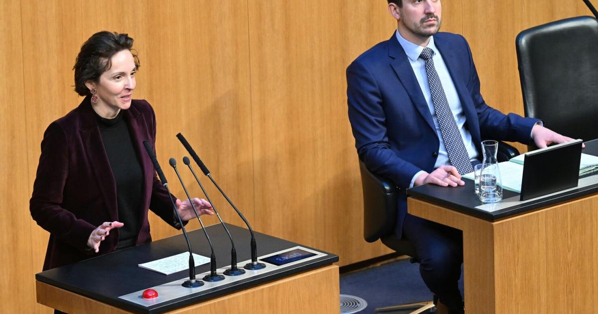 -Kritisch-hinterfragen-Neos-wollen-Zahl-der-Hochschulen-auf-Pr-fstand-stellen