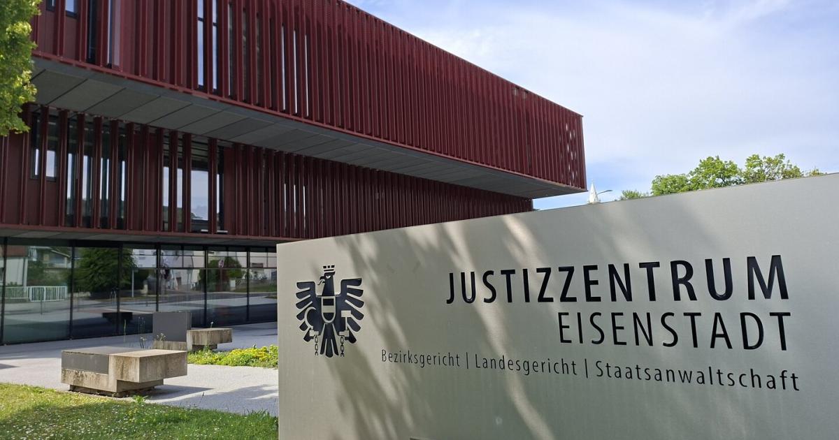 Kind-mit-Elektroschocker-zum-Lernen-animiert-Wir-haben-unser-Bestes-gegeben-