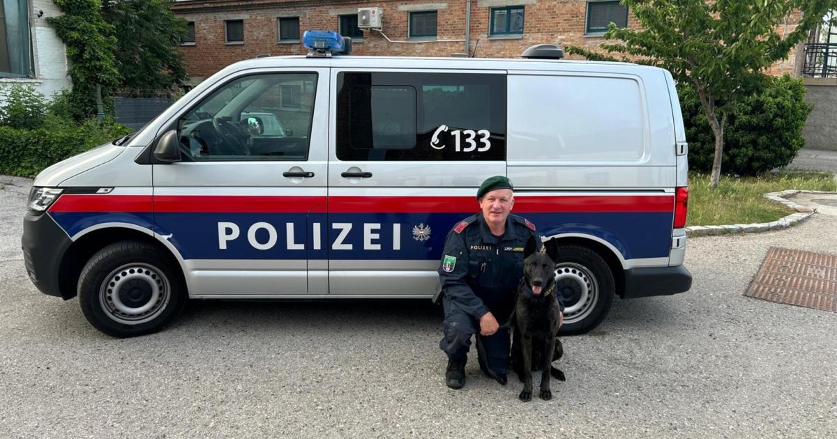 Flucht-aus-Gef-ngnis-in-N-Polizeihund-Nox-stellte-H-ftling-im-Wald