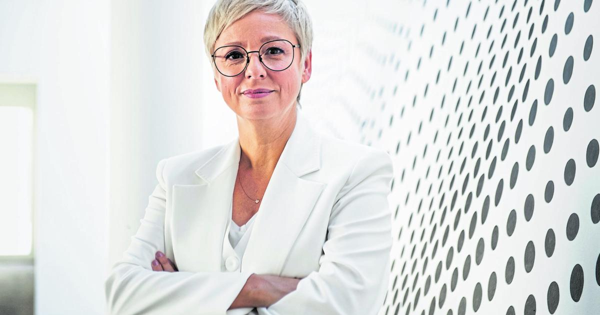 Wirtschaftskammer-senkt-Mitgliedsbeitr-ge-um-20-Prozent