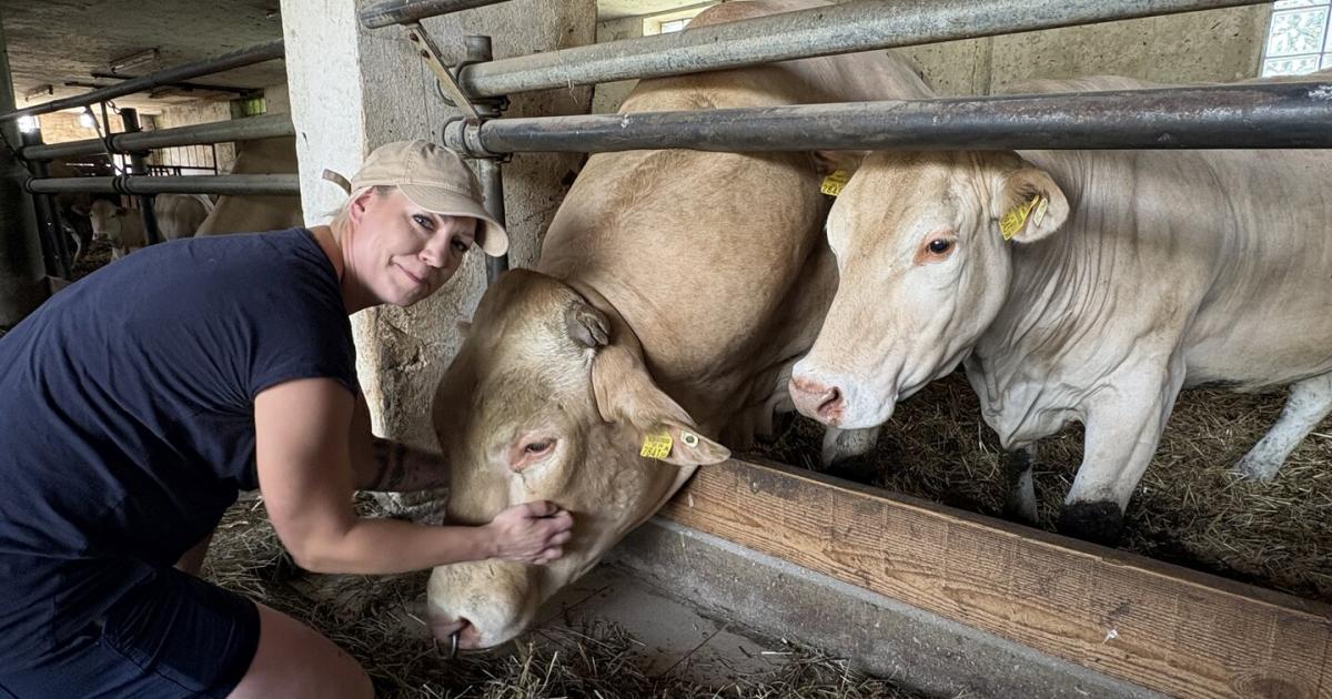 Die-Frau-mit-den-blonden-Rindern