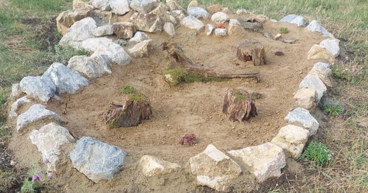 Neusiedler-Klimaschutz-Fiasko-Gr-ne-Kritik-am-Stadtgr-n