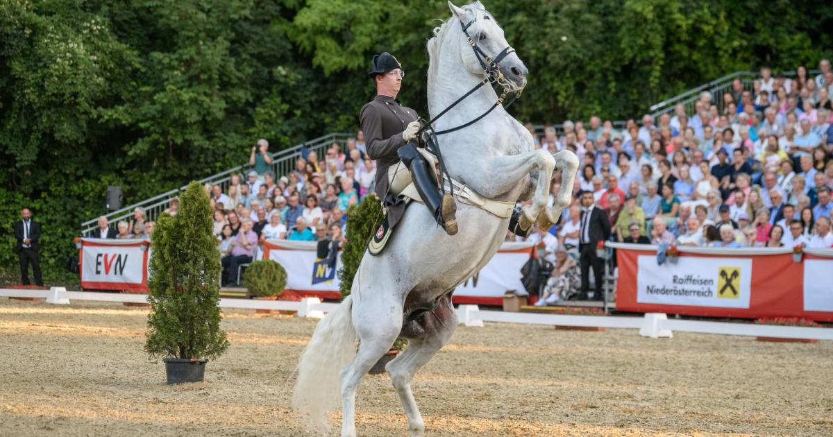 Weinviertel-Lipizzaner-und-Wein-Gala-am-Heldenberg