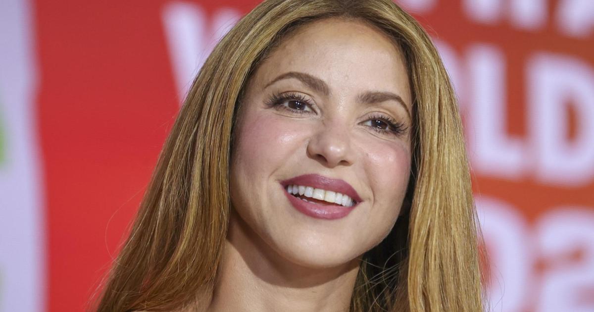 Bei-Hotel-Date-gesichtet-Was-l-uft-da-zwischen-Shakira-und-diesem-Schauspieler-