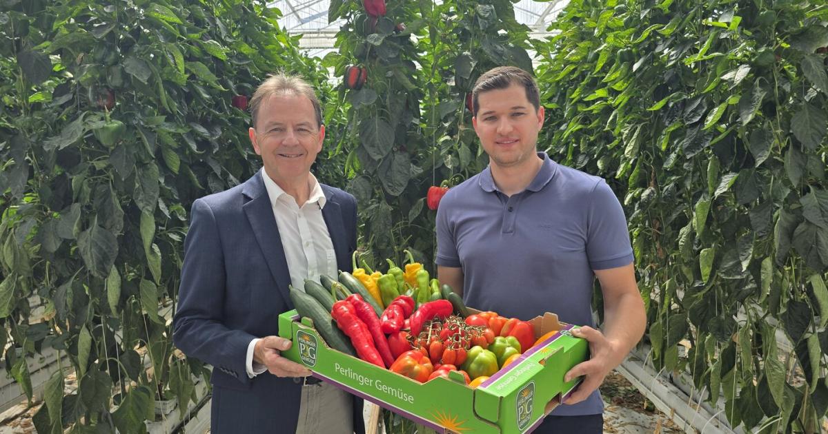 Burgenl-ndisches-Gem-se-f-llt-Supermarktregale-in-ganz-sterreich