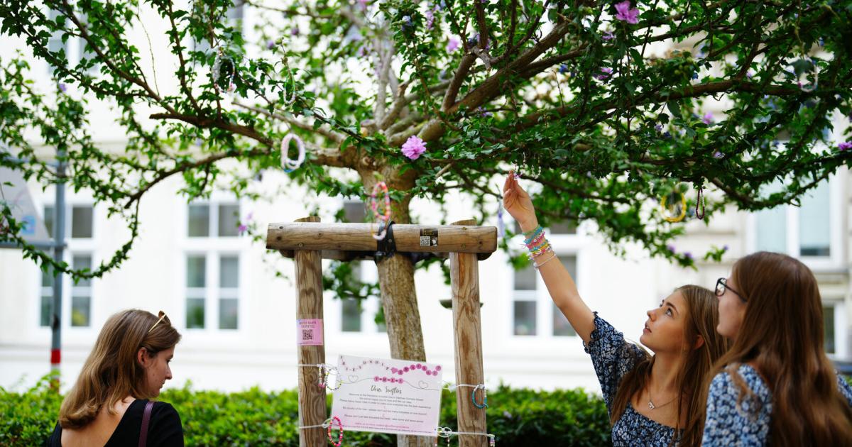 Nach-Aufregung-um-F-llung-Was-jetzt-mit-dem-Swiftie-Baum-passieren-soll