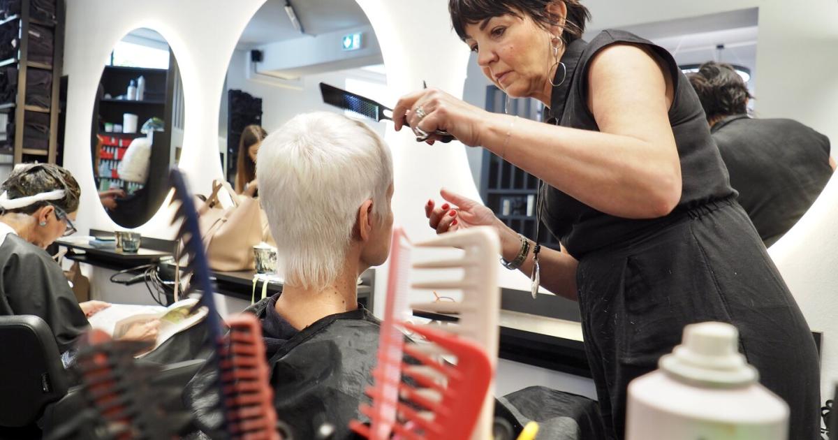 Schnitt-f-r-Schnitt-zum-Erfolg