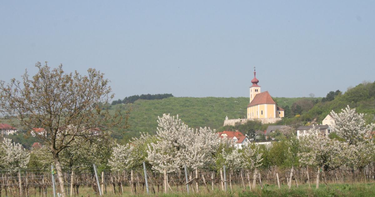 Donnerskirchen-kommt-nach-Gerichtsurteil-in-Finanznot