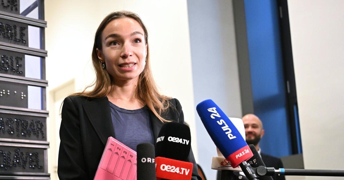 Pilnacek-U-Ausschuss-Neos-verweigern-Fragen-an-Privatgutachter