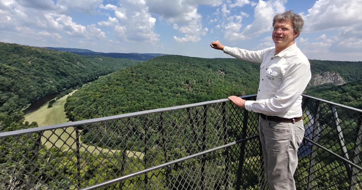 Trockenheit-im-Nationalpark-Thayatal-Vielfalt-ist-der-Schl-ssel-