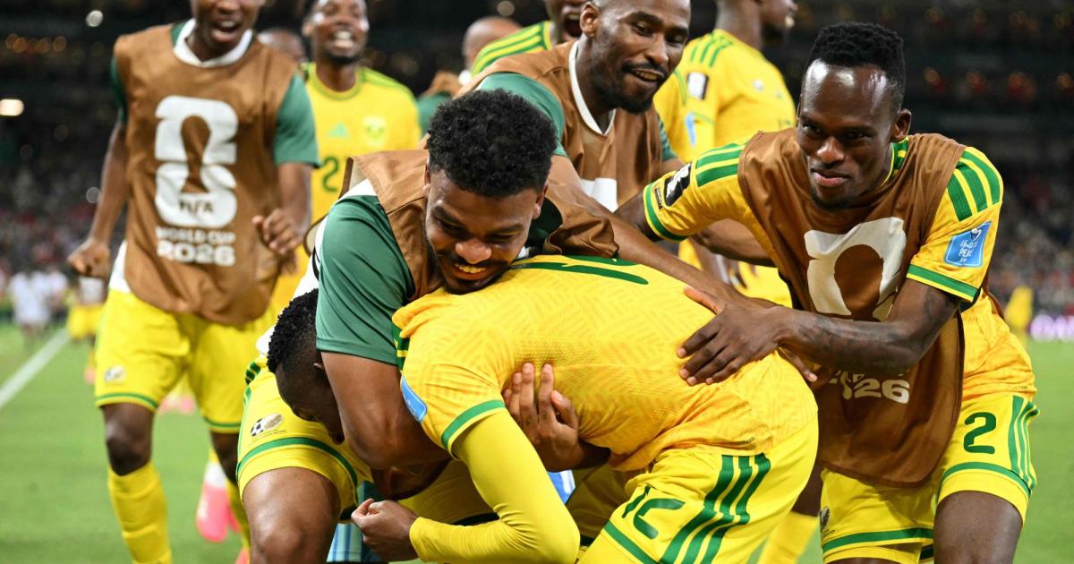 Exuberant celebration: South Africa shocked the South Koreans