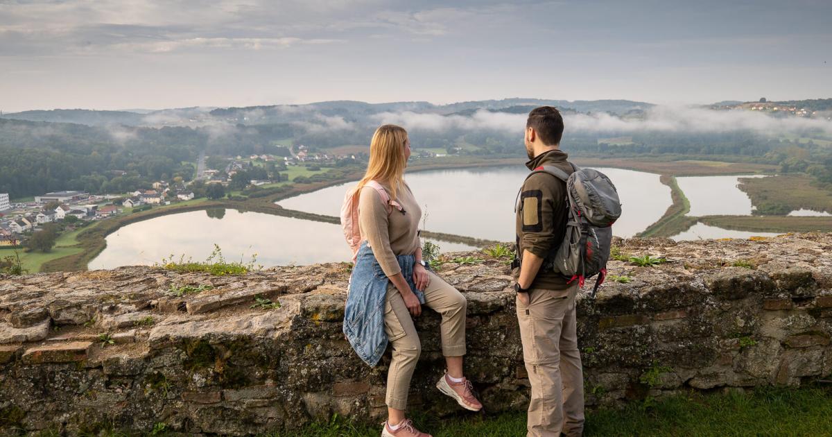 G-ssinger-Teiche-Vom-Geheimtipp-zum-Vogel-Hotspot