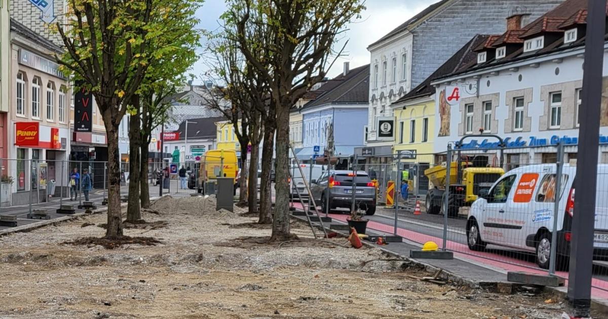 Mehr-Schwammst-dte-mehr-Begr-nung-45-Orte-setzen-auf-N-Bodenbonus