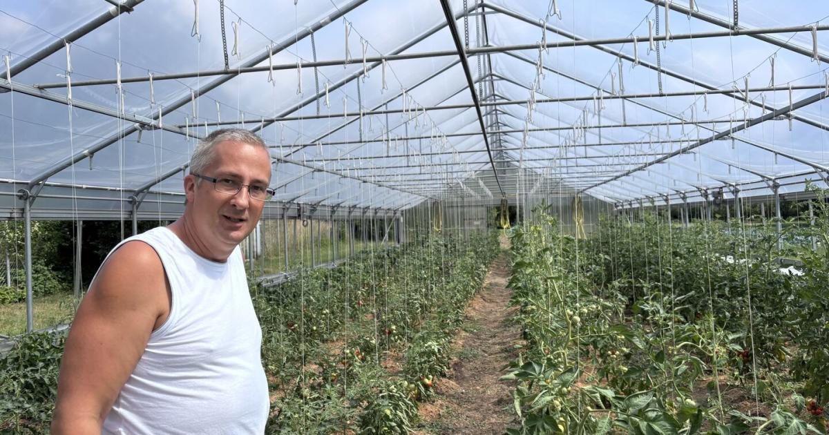 Gartenarbeit-als-Therapie-f-r-Menschen-mit-psychischen-Erkrankungen