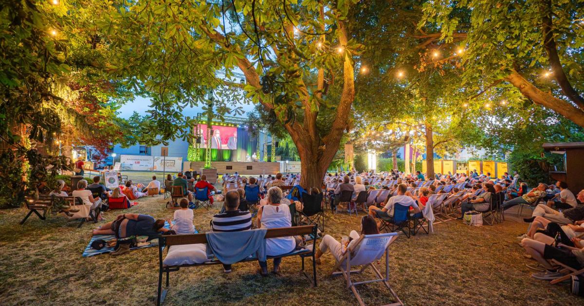 Kabarett-Picknick-in-Korneuburg-mit-Thomas-Brezina