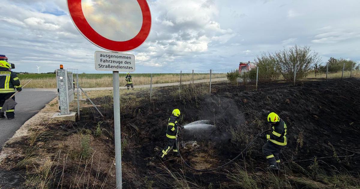 Flurbrand-an-der-S3-Feuerwehr-Wullersdorf-im-Einsatz