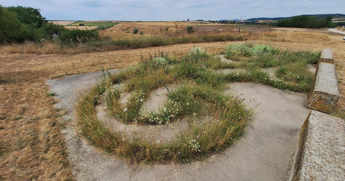 Das-Land-und-seine-Zeitgenossen-Eine-Reise-zur-Kunst-im-ffentlichen-Raum