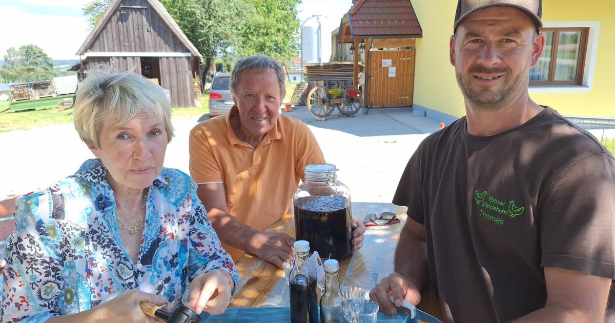 Verlorenes-Kulturgut-Die-W-chter-der-roten-Donaunuss