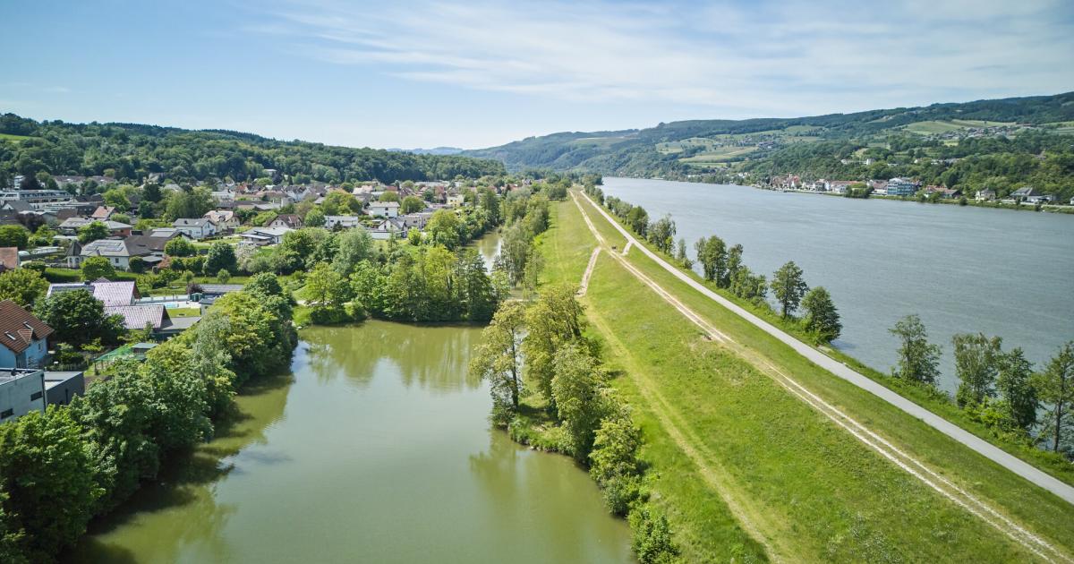 Nach-F-rderband-scheitert-auch-Mega-PV-Projekt-an-der-Donau-in-N-
