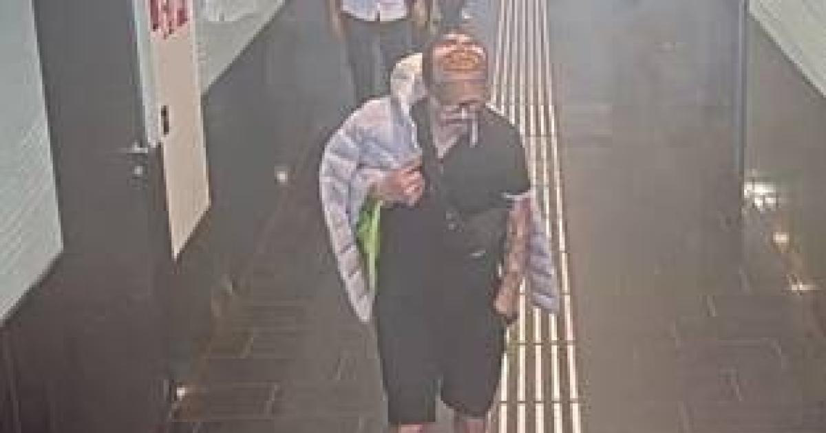 Schwerer-Diebstahl-am-Flughafen-Wien-Polizei-sucht-diese-M-nner