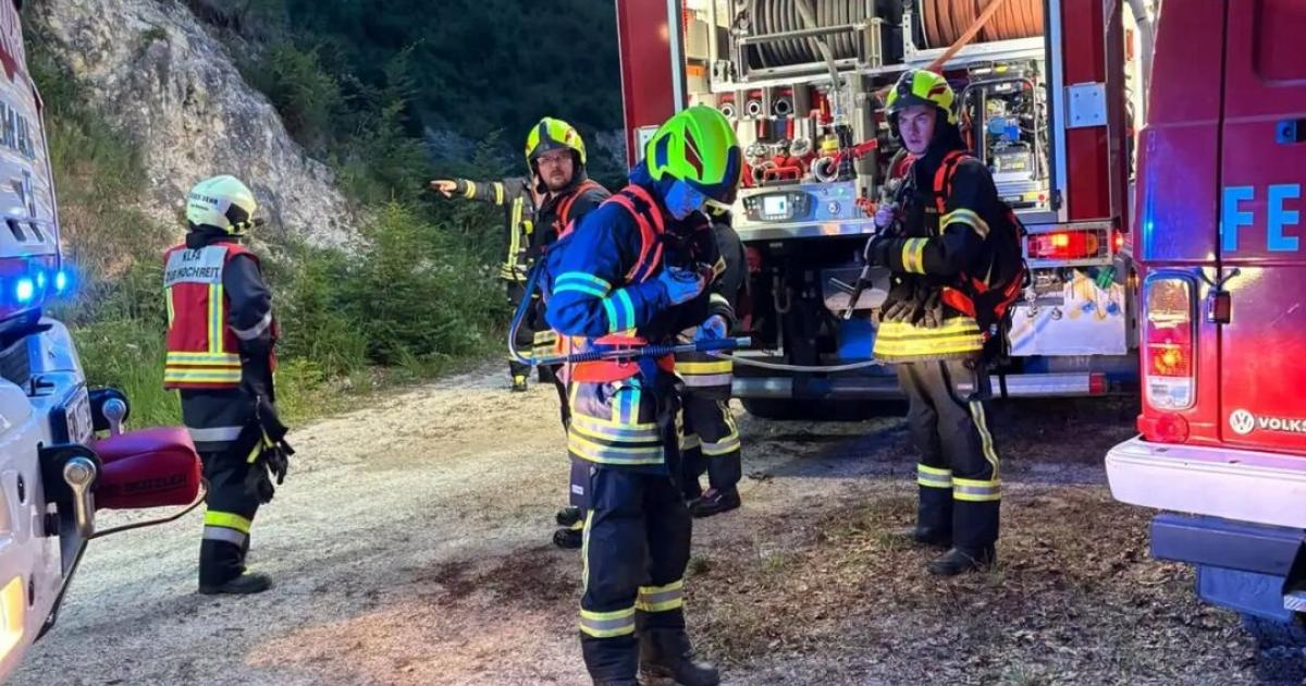 Blitz-l-ste-Brand-im-Almwald-ober-G-stling-aus
