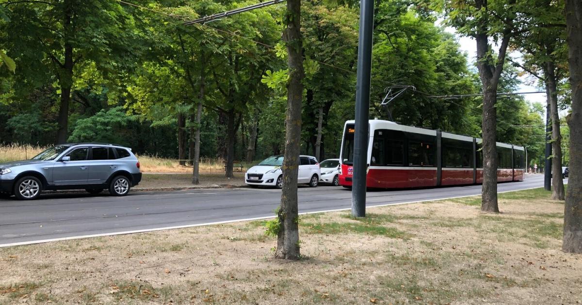 Den-18er-in-freier-Wildbahn-beobachten-Probefahrten-im-Prater