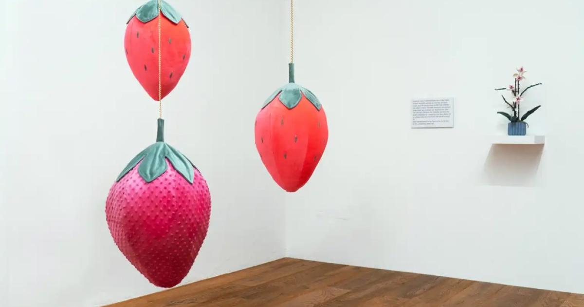 Medienkunstfestival-DGTL-Summer-startet-im-Haus-der-Digitalisierung