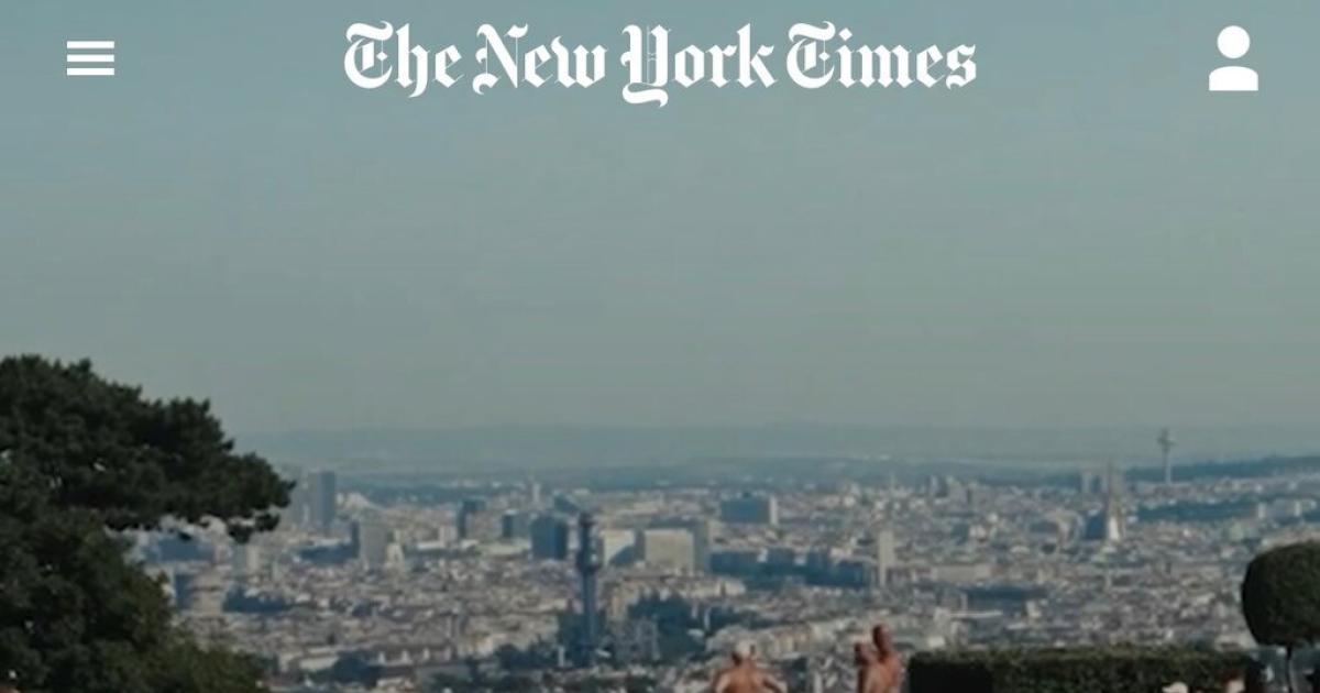Die-Wiener-B-der-schaffen-es-in-die-New-York-Times