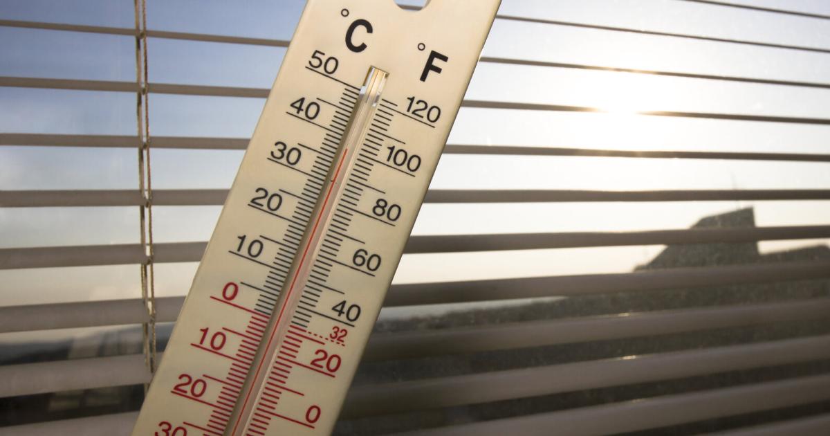 Auswirkungen-des-Klimawandels-M-dling-startet-Hitzeaktionsplan-